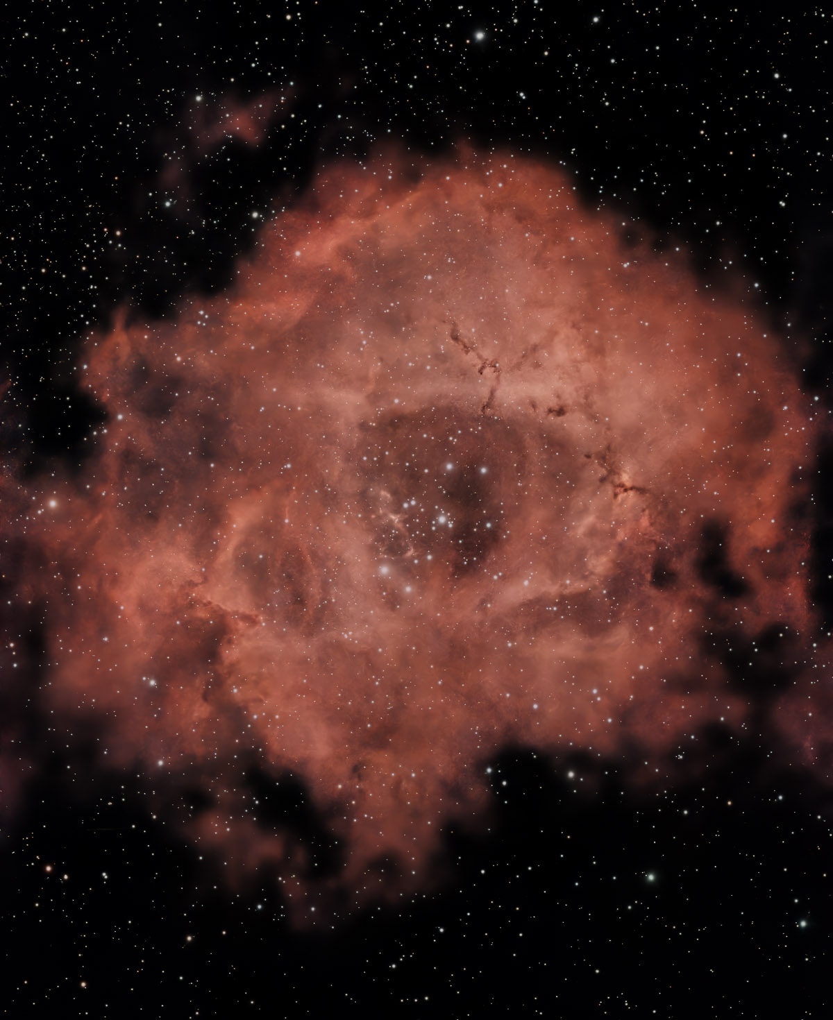 Rosette Nebula Mosaic